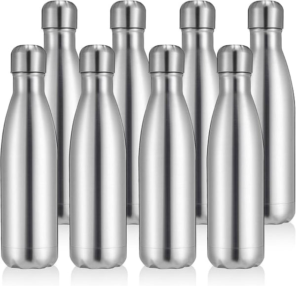 Water Bottle - Metallic Stainless Steel