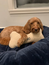 Pet Pillow - Bone Shaped