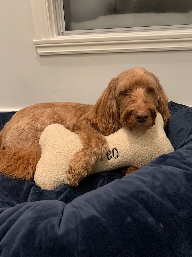 Pet Pillow - Bone Shaped